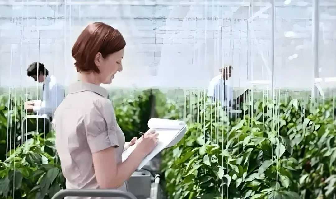 Israel: A Technological Dynamo in Semiconductors, Agriculture, and Defense